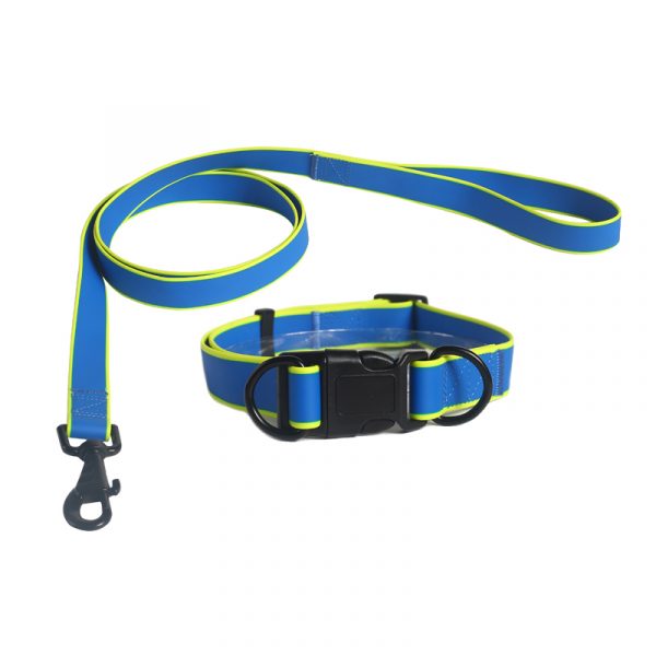 collar leash set 2