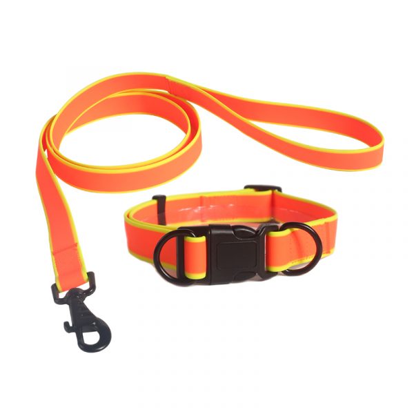 collar leash set 3