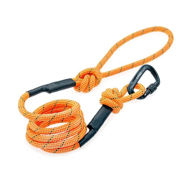 dog rope leash 1