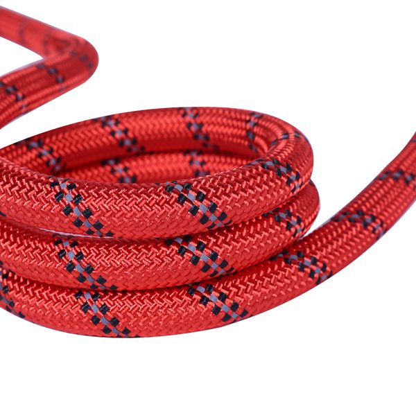 dog rope leash (15)
