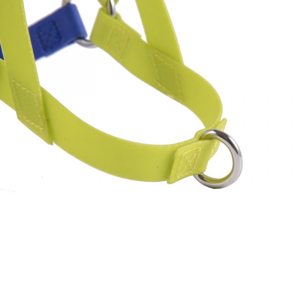pvc dog harness (3)