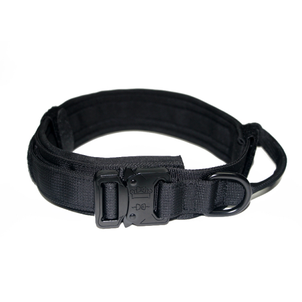 tactical dog collar (1)
