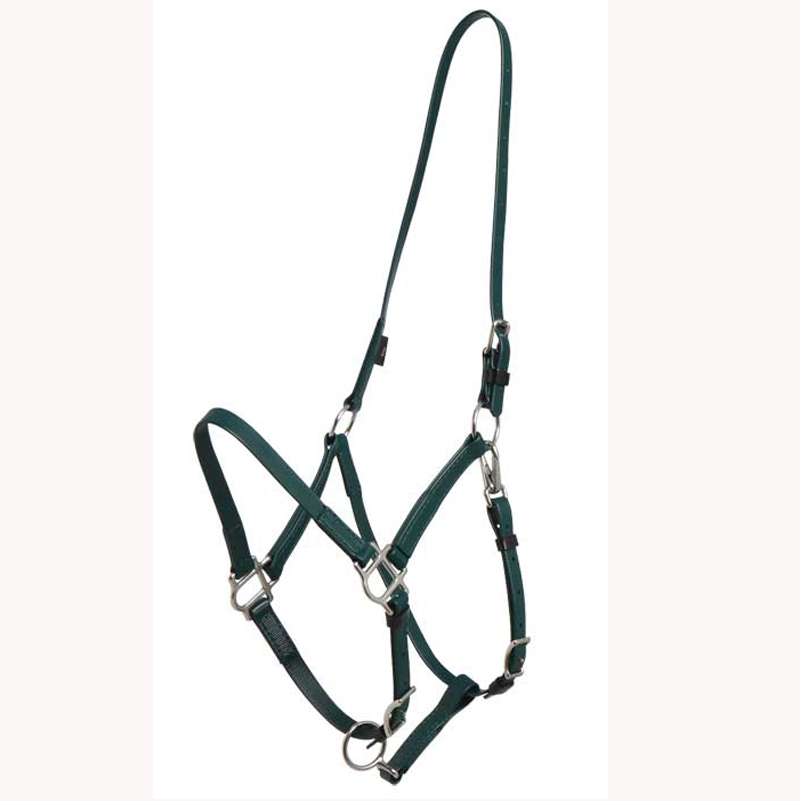 Horse Halter Supplier