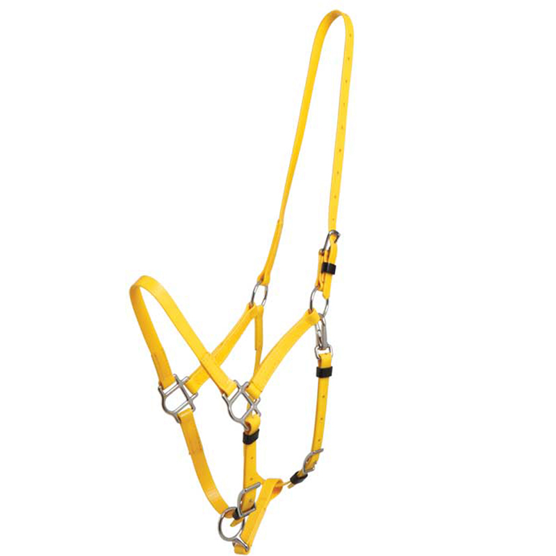 Horse Halter