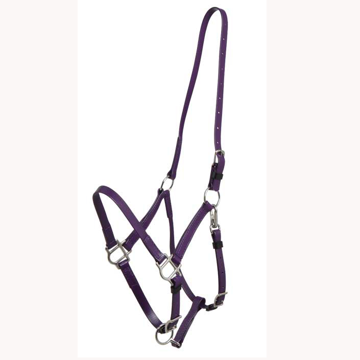 Pure Color,Simple Horse Halter