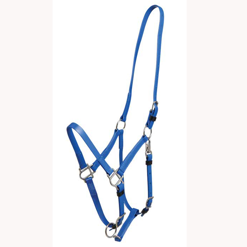 Horse Halter Supplier