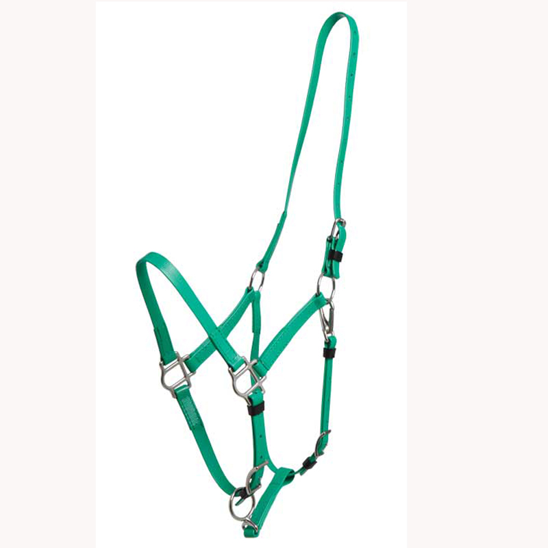 Horse Halter