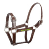 Halter Chinese Supplier