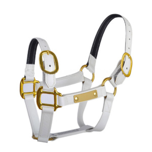 New Design,Fancy Horse Halter