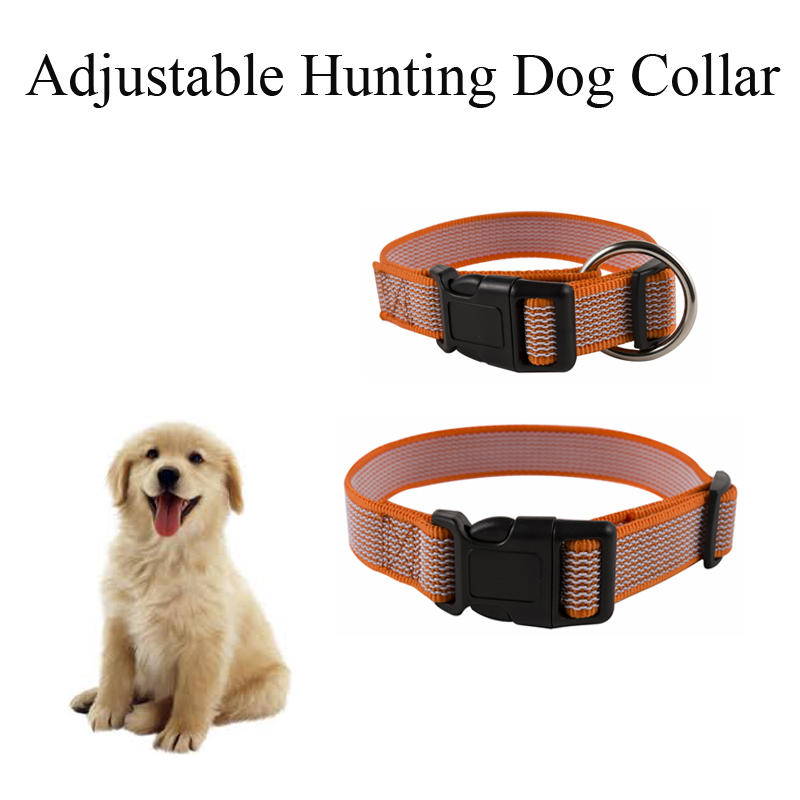 2018 New Invention,Dog Products,Grip Dog Collar
