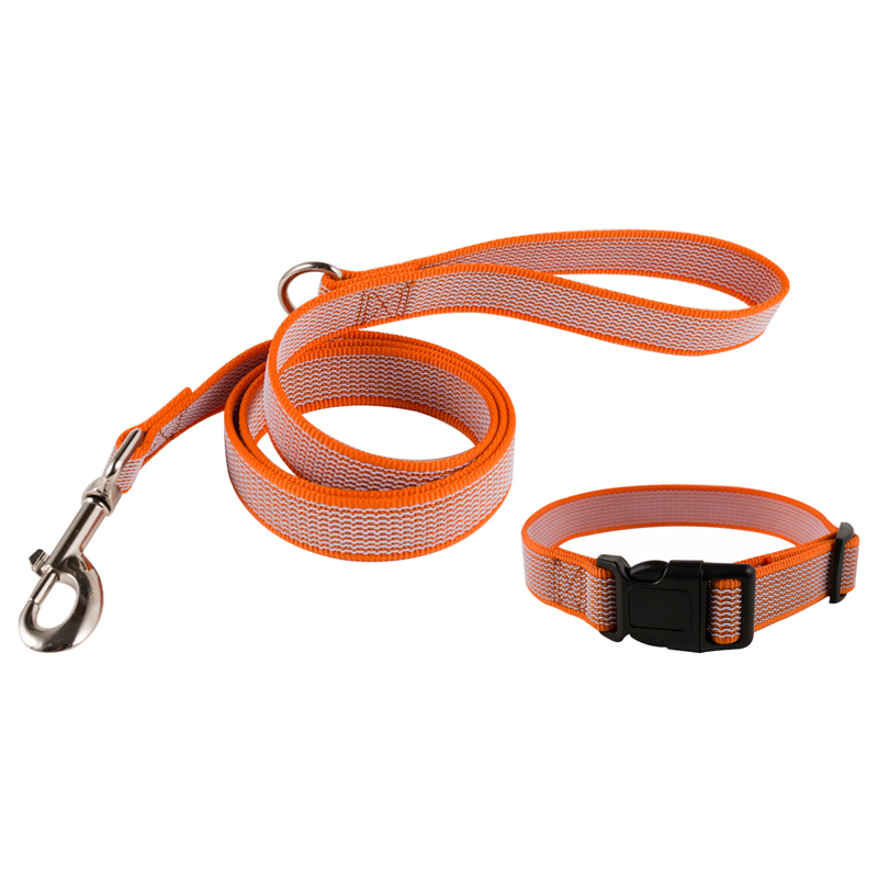Grip Dog Collar and Leash