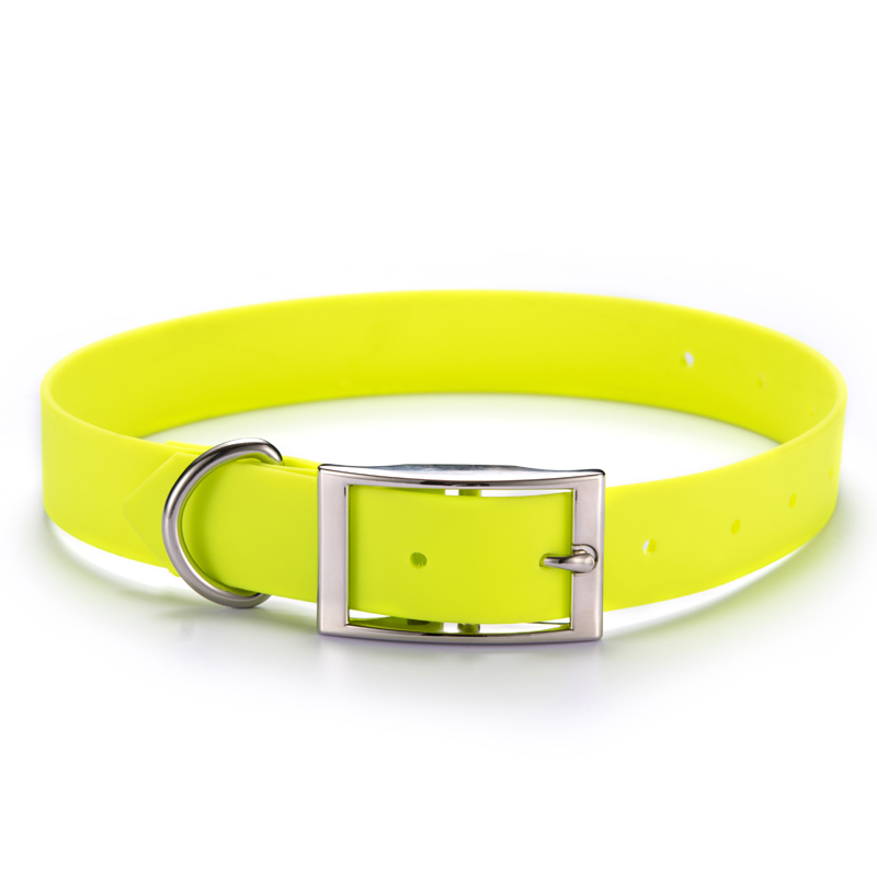 Dog Collar,Biothane coated webbing