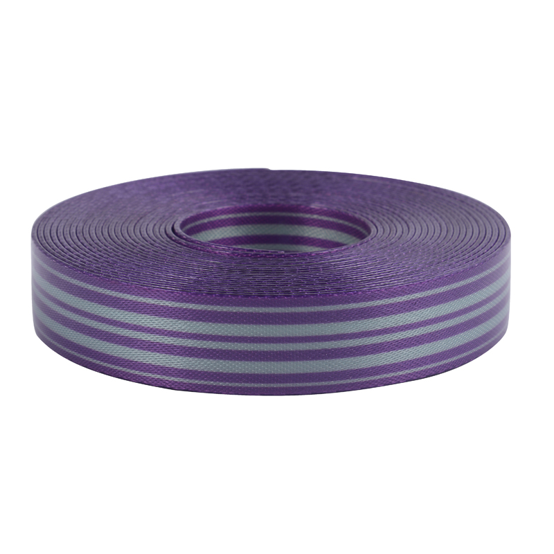 New Design,DIY Coated Webbing