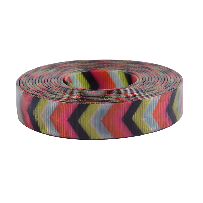 Designed TPU Coated Webbing