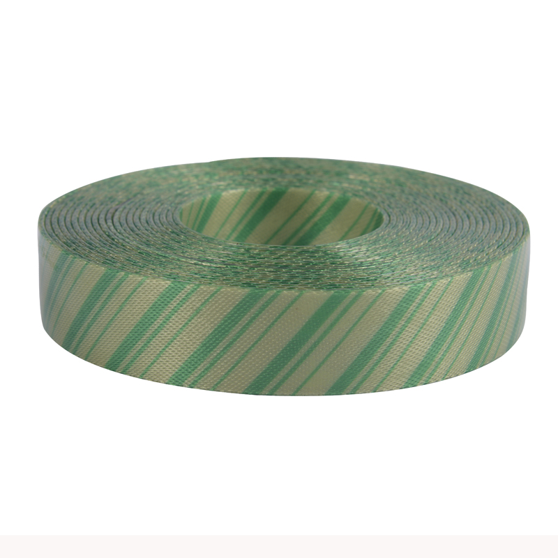 Texture Series,Elegant Style TPU Coated Webbing