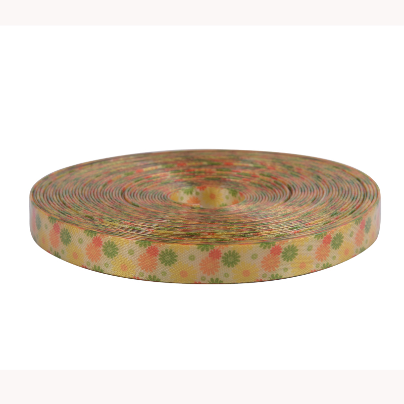 Plastical Coated Nylon Webbing for Making Dog Collar