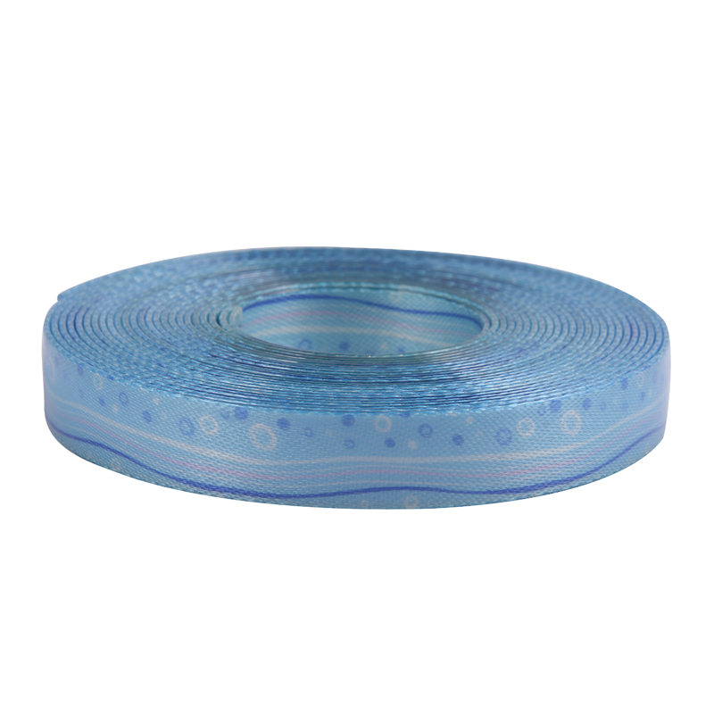 Plastical Coated Nylon Webbing for Making Dog Collar