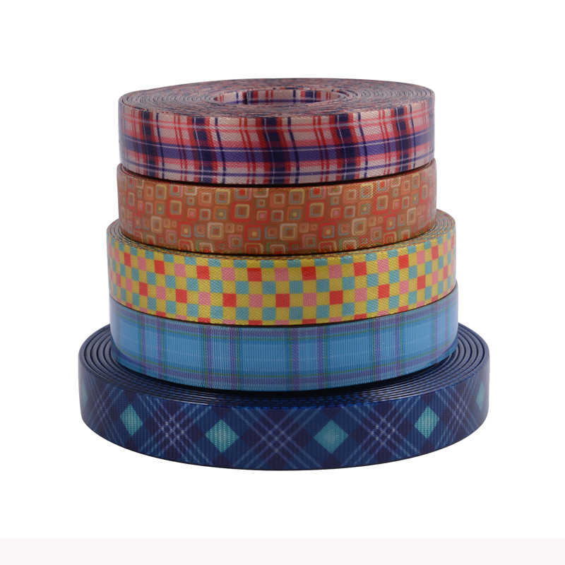 Competitive Price,Good Quality,Design Coated Webbing