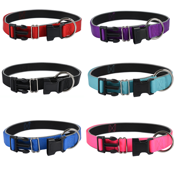 Adjustable Dog Collar for Dog