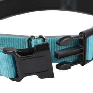 Dog Collar Nylon Dog Collar