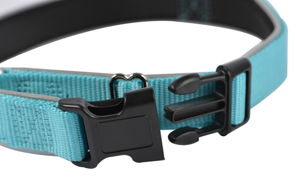 Dog Collar Nylon Dog Collar