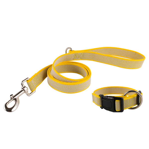 No Slip Nylon Dog Leash for Training