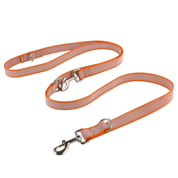 Dog Collar Nylon Dog Collar