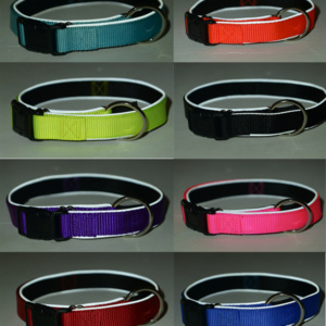 Adjustable Dog Collar for Dog