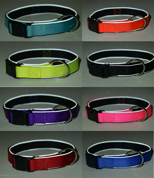 Adjustable Dog Collar for Dog