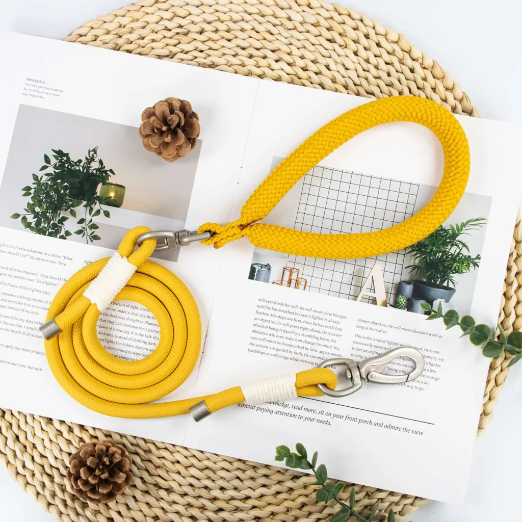 durable nylon dog leash