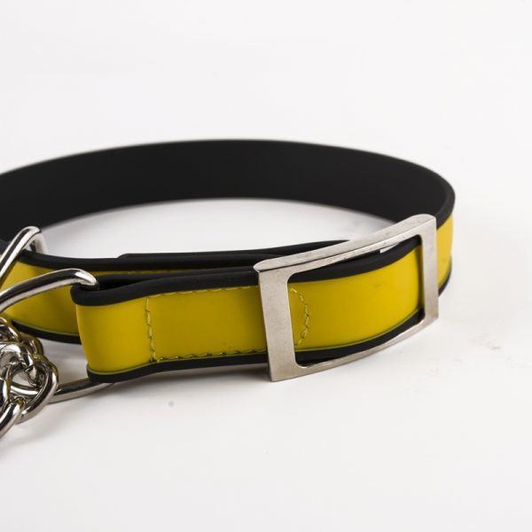 Chain dog training collar