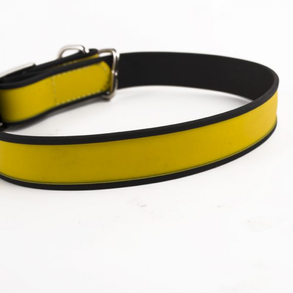 Chain dog training collar
