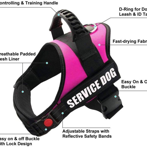 Service dog harness2