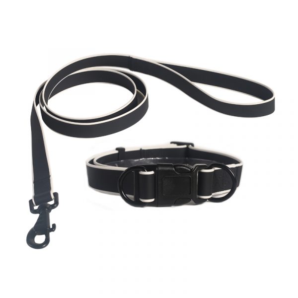 collar leash set