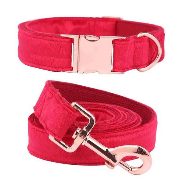 velvet collar and leash2