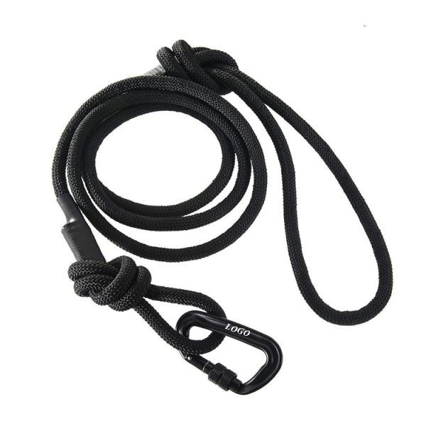 dog rope leash 2