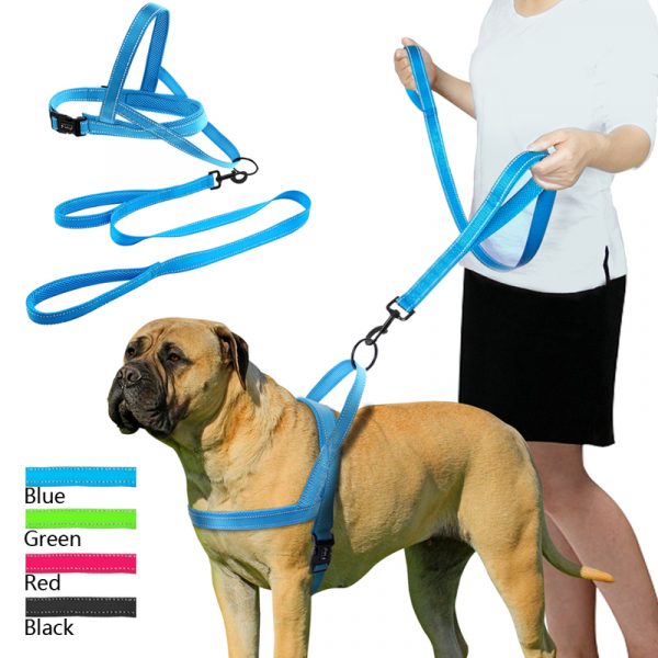 reflective dog leash (18)